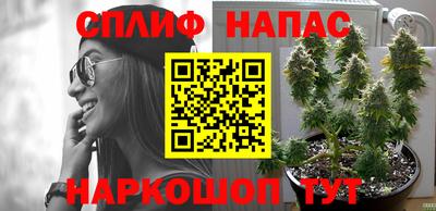 стафф Рязань